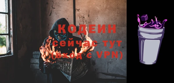 прущие грибы Армянск