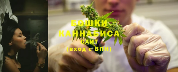 прущие грибы Армянск