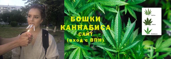 прущие грибы Армянск